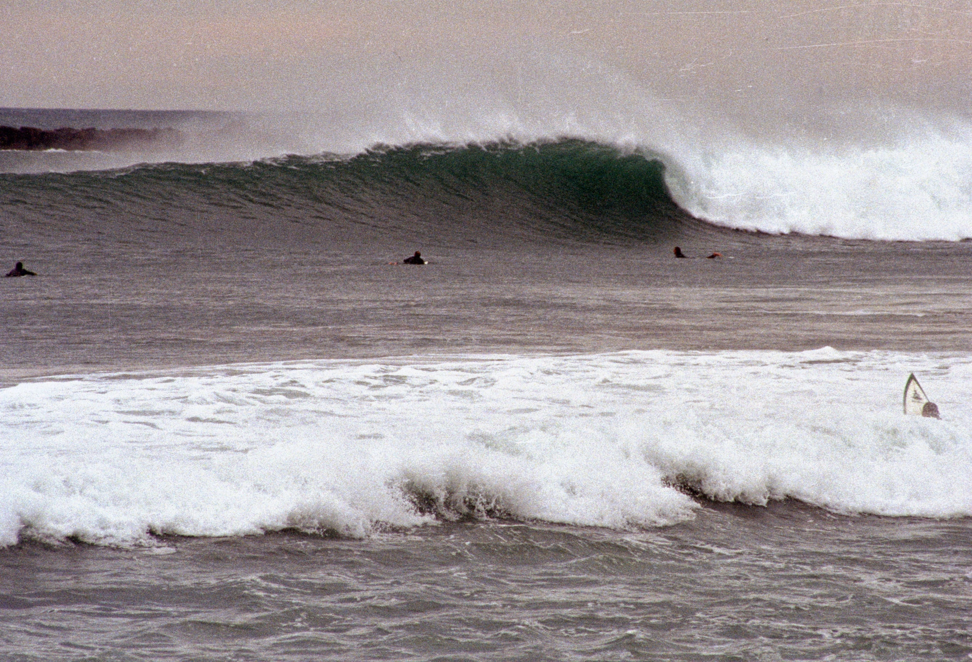Evolutionary Wave Story