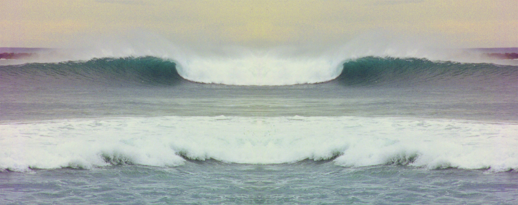 Evolutionary Wave Story
